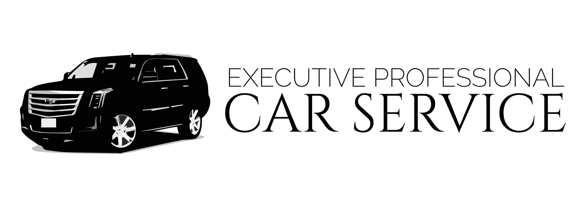 executive professional car service